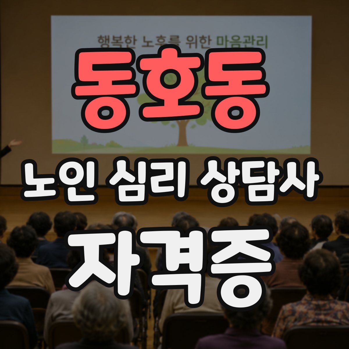 동호동 노인 심리 상담사 자격증