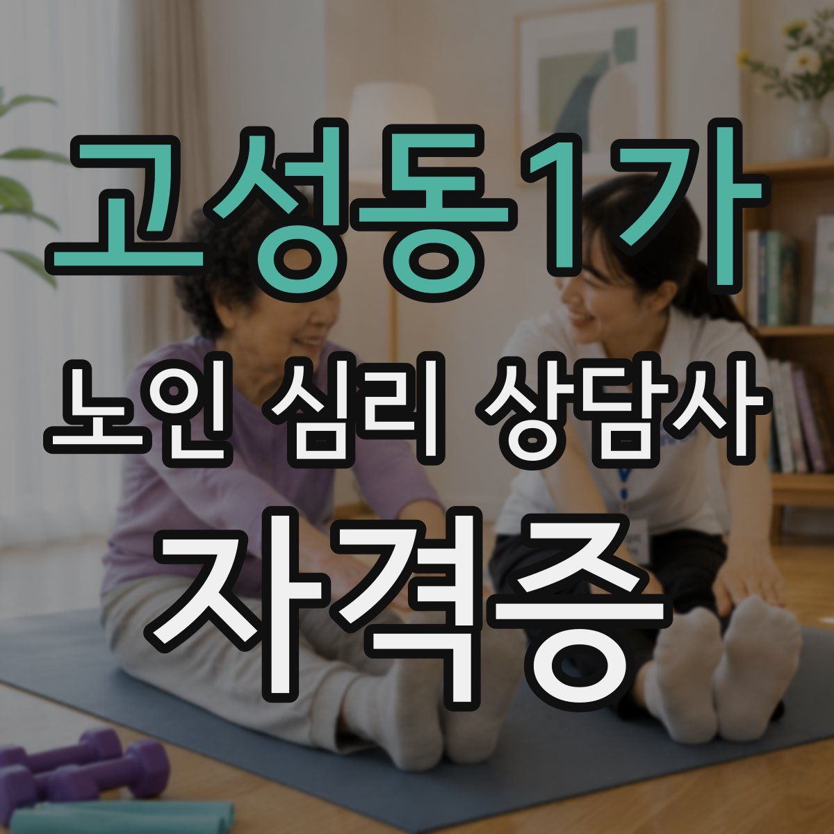 고성동1가 노인 심리 상담사 자격증