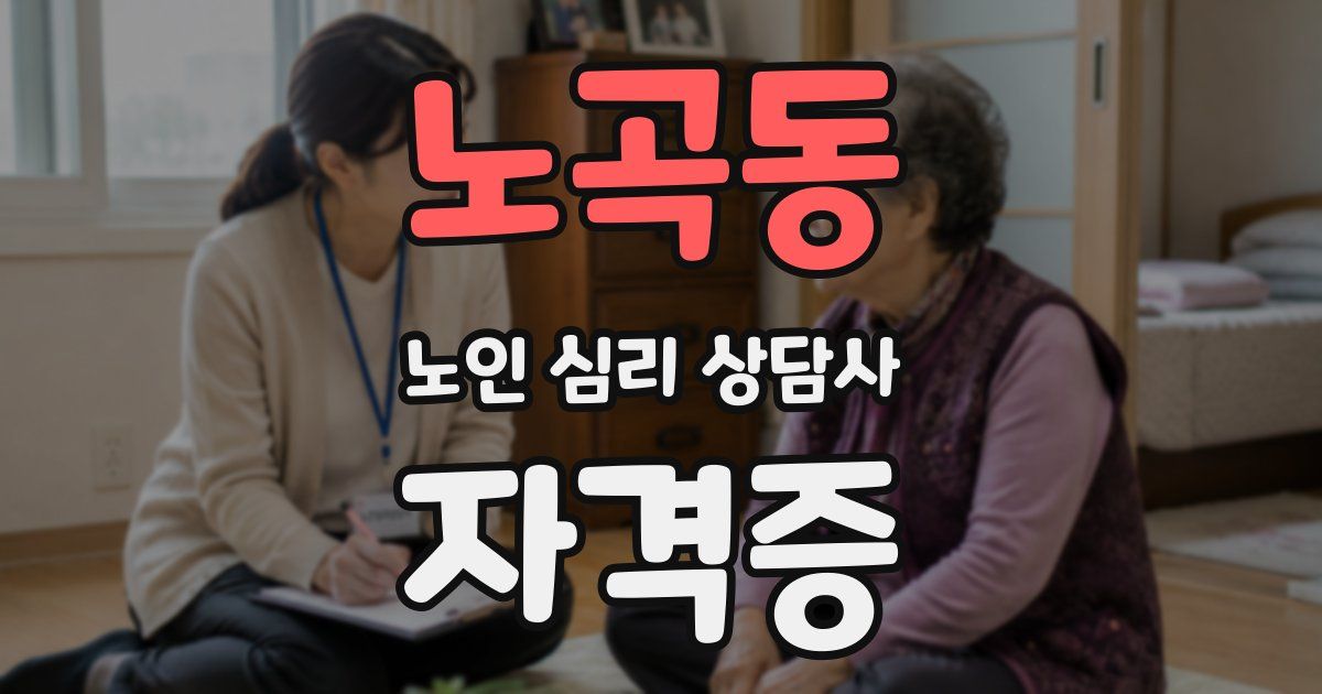 노곡동 노인 심리 상담사 자격증