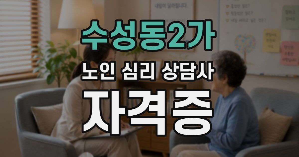 수성동2가 노인 심리 상담사 자격증