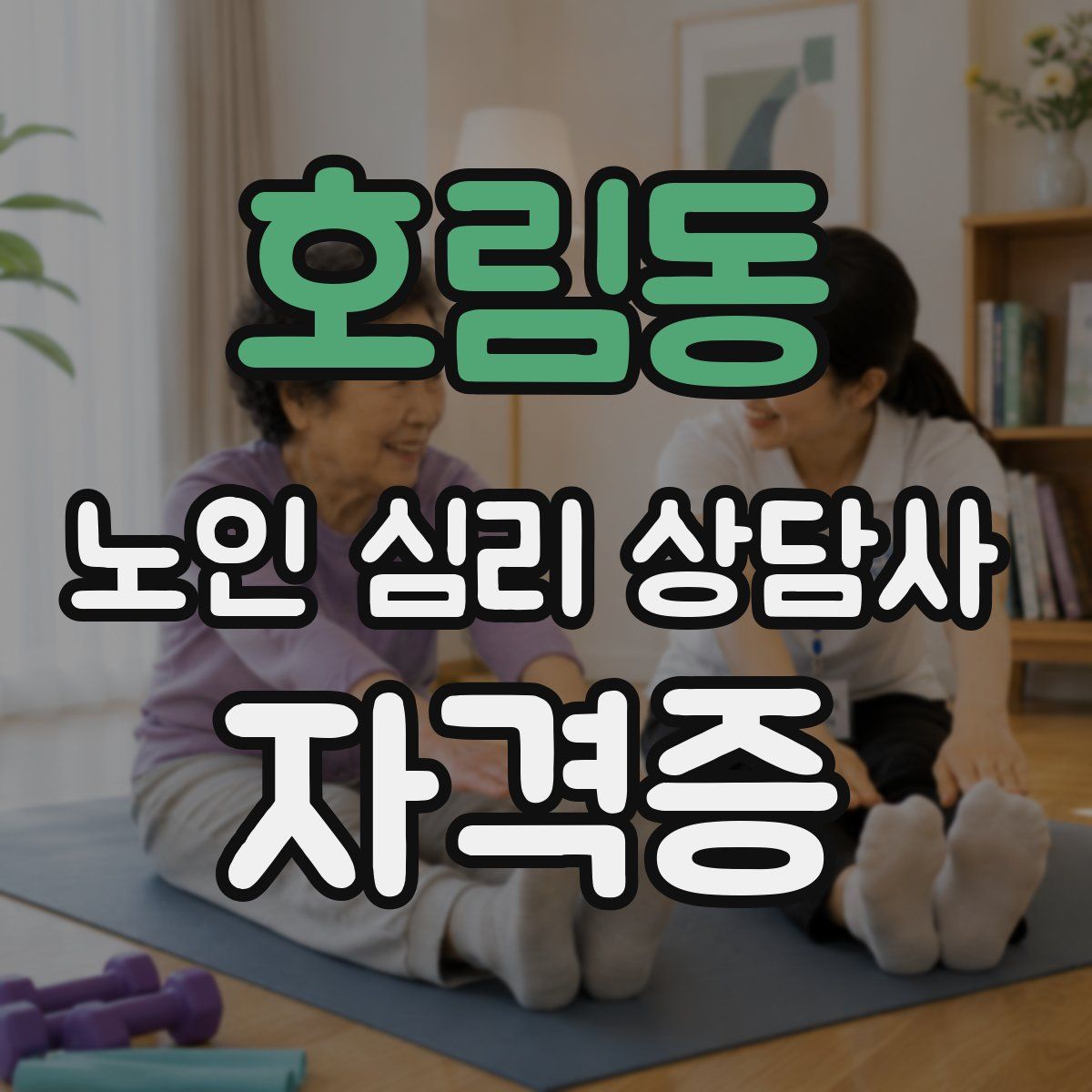 호림동 노인 심리 상담사 자격증
