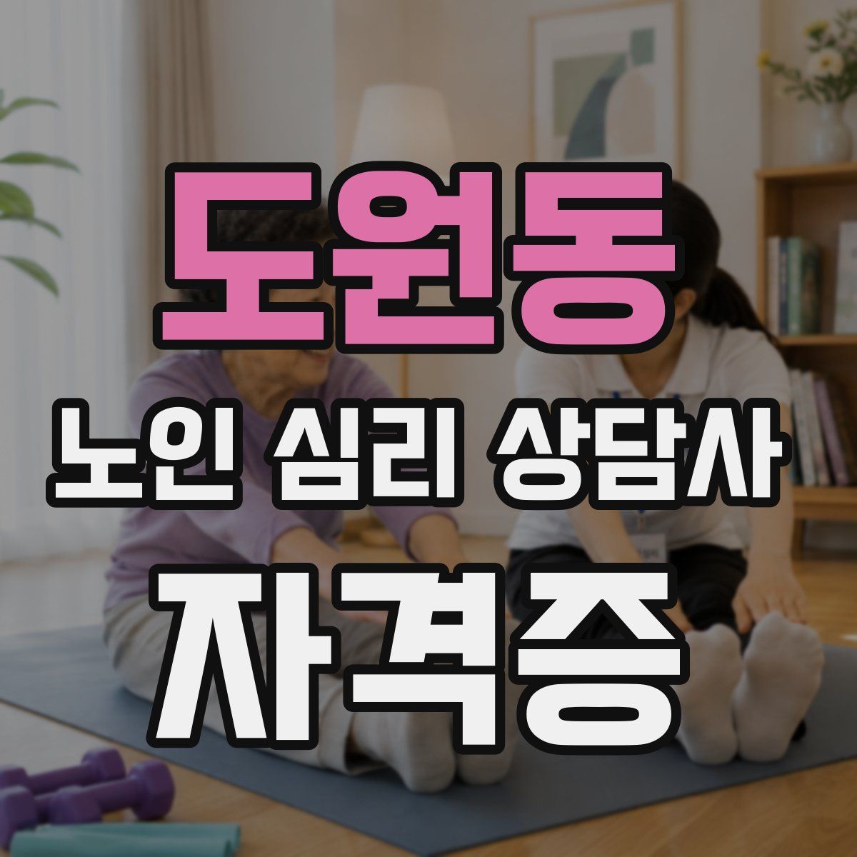 도원동 노인 심리 상담사 자격증