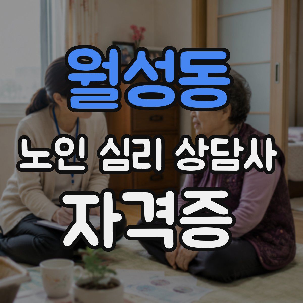 월성동 노인 심리 상담사 자격증