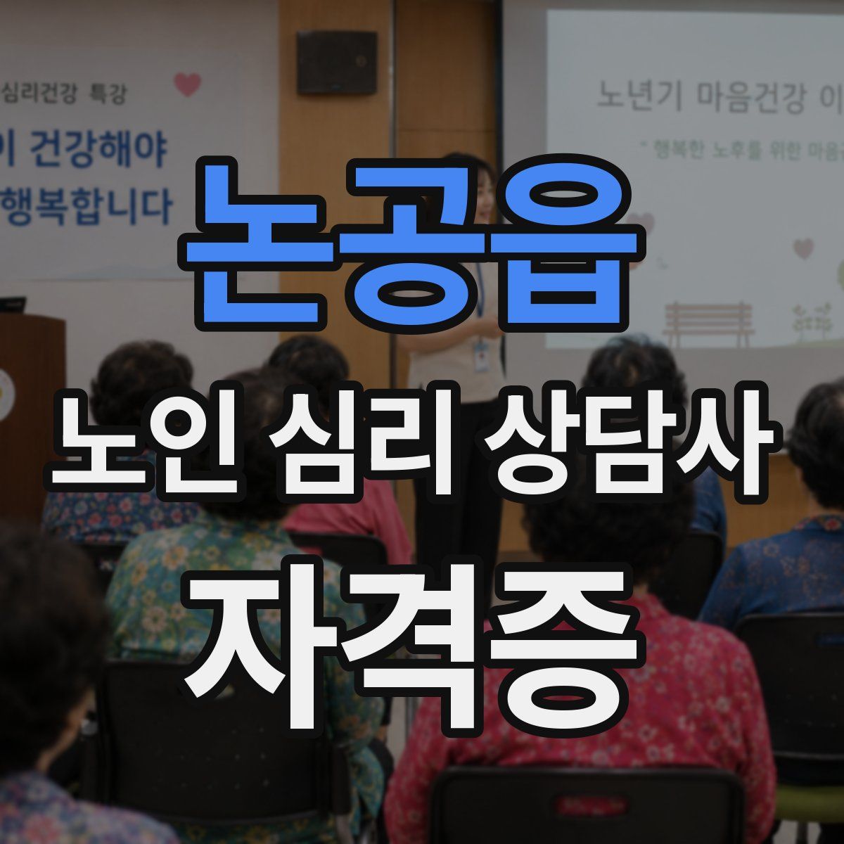 논공읍 노인 심리 상담사 자격증