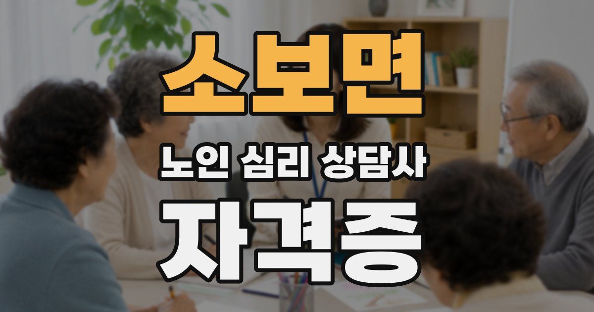 소보면 노인 심리 상담사 자격증