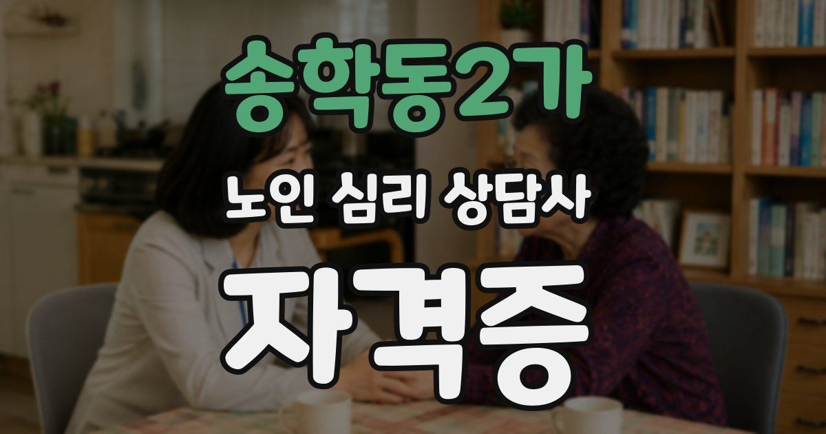 송학동2가 노인 심리 상담사 자격증
