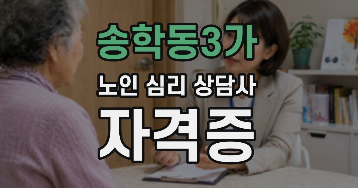 송학동3가 노인 심리 상담사 자격증