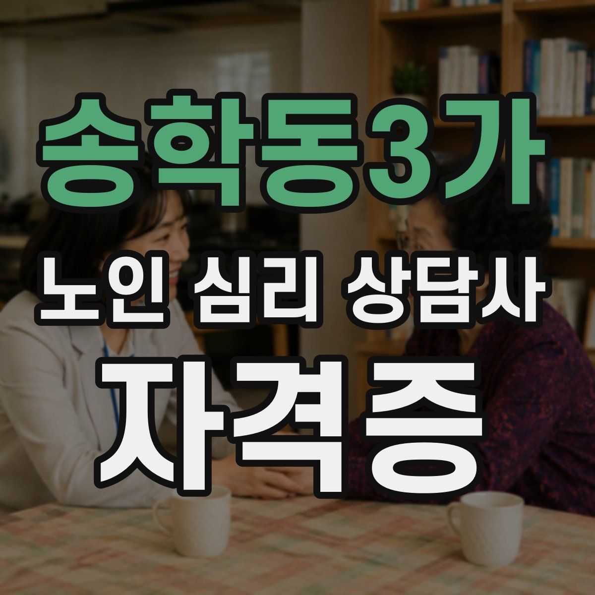 송학동3가 노인 심리 상담사 자격증