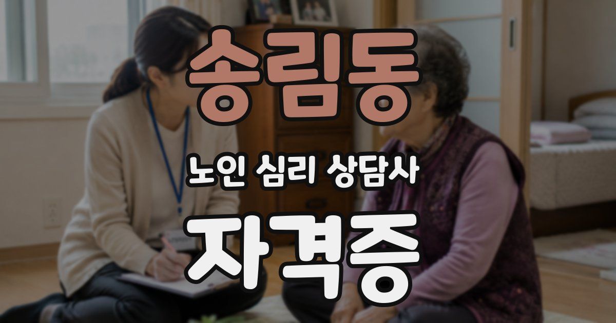 송림동 노인 심리 상담사 자격증