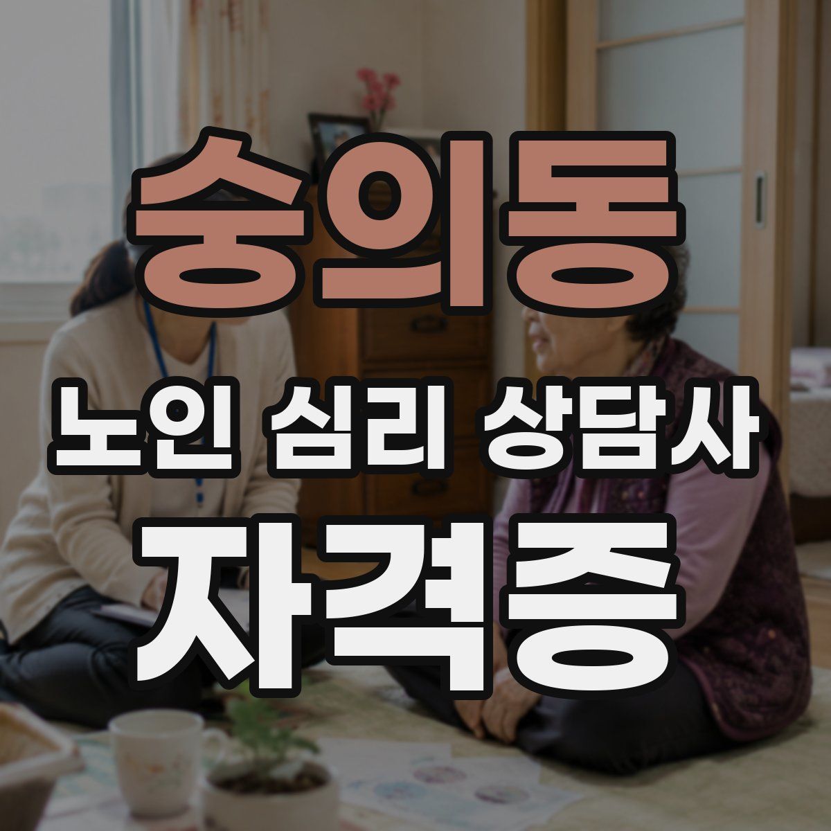 숭의동 노인 심리 상담사 자격증