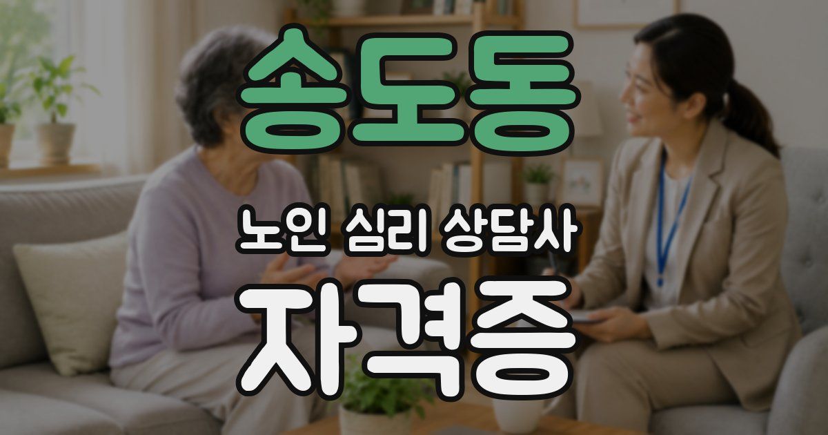 송도동 노인 심리 상담사 자격증