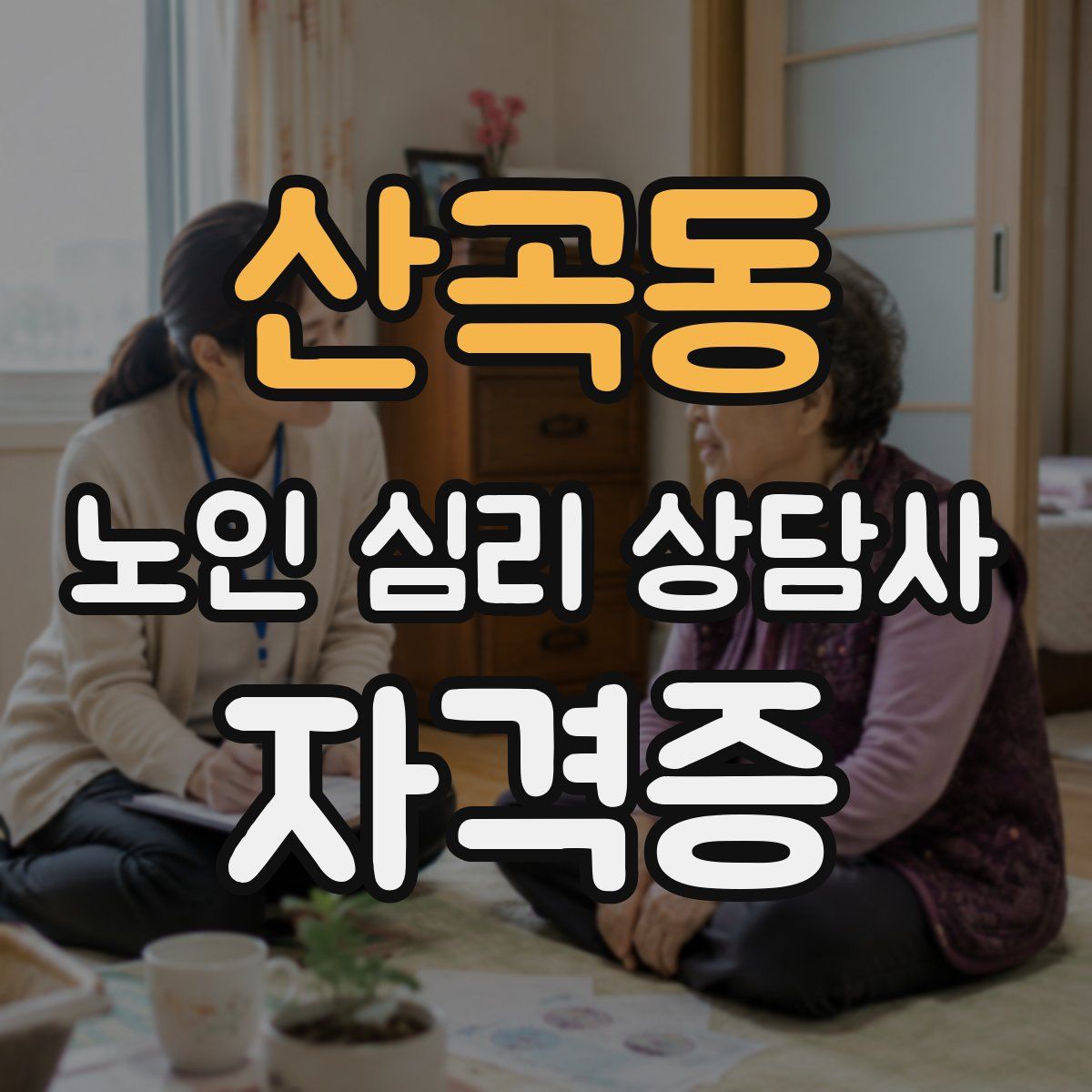 산곡동 노인 심리 상담사 자격증