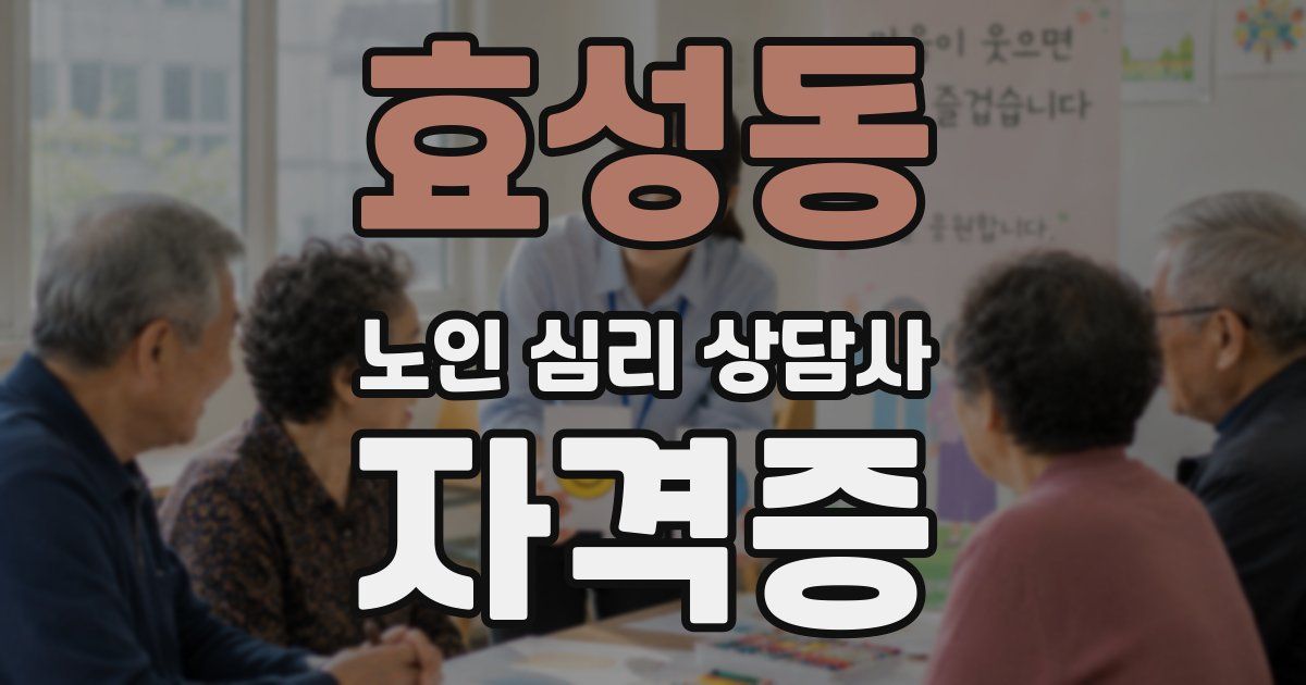 효성동 노인 심리 상담사 자격증