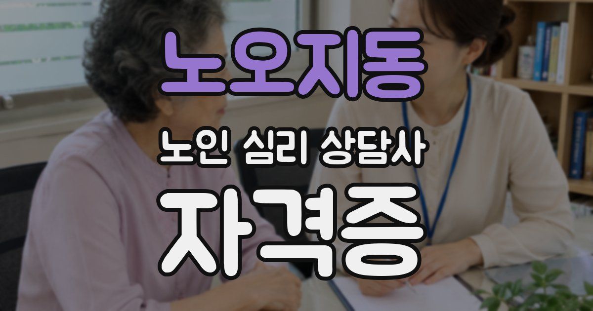 노오지동 노인 심리 상담사 자격증