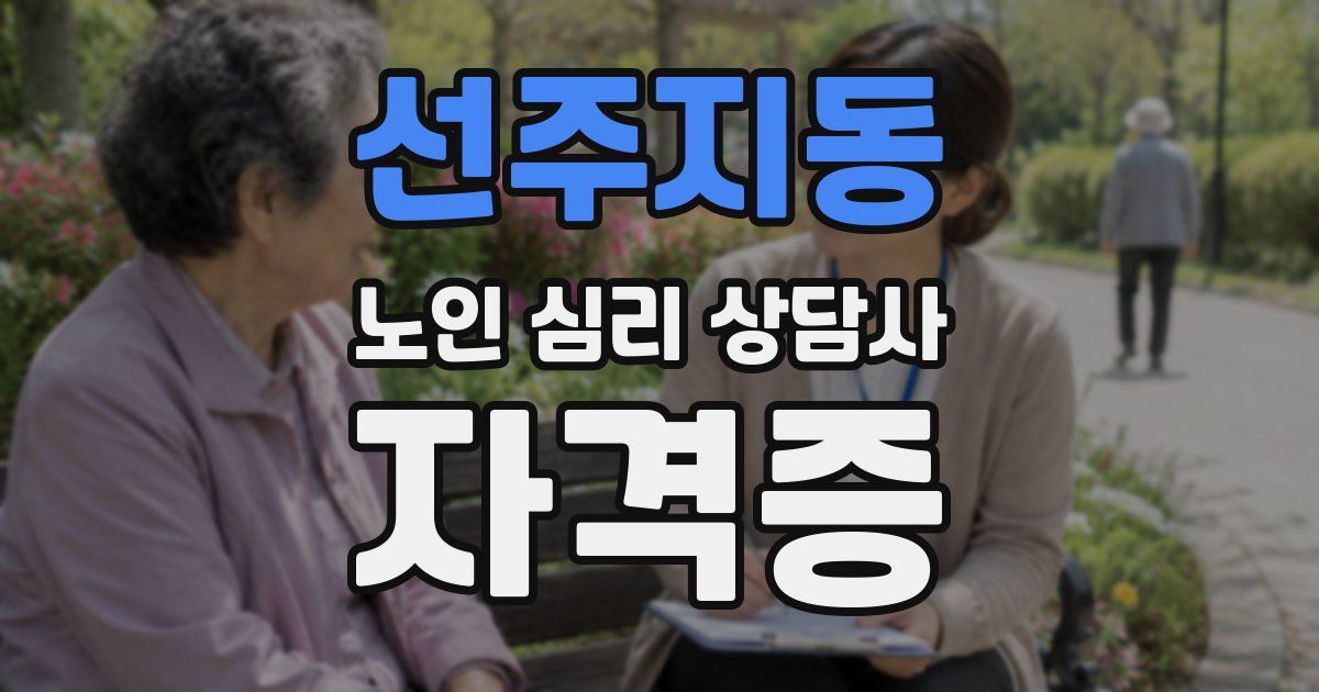 선주지동 노인 심리 상담사 자격증