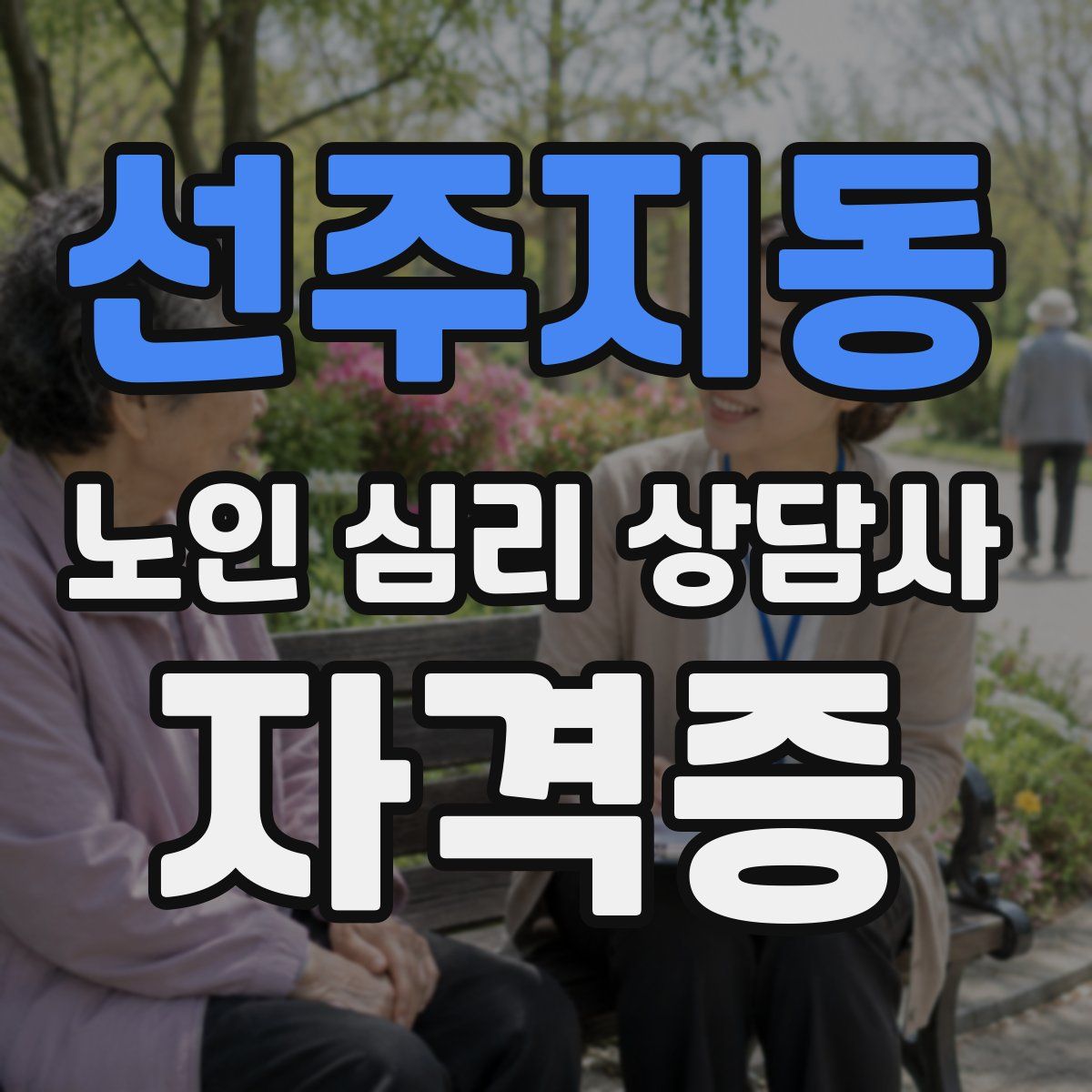 선주지동 노인 심리 상담사 자격증