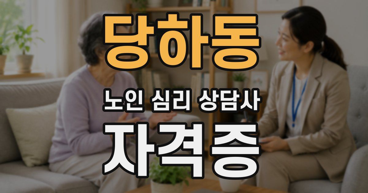 당하동 노인 심리 상담사 자격증