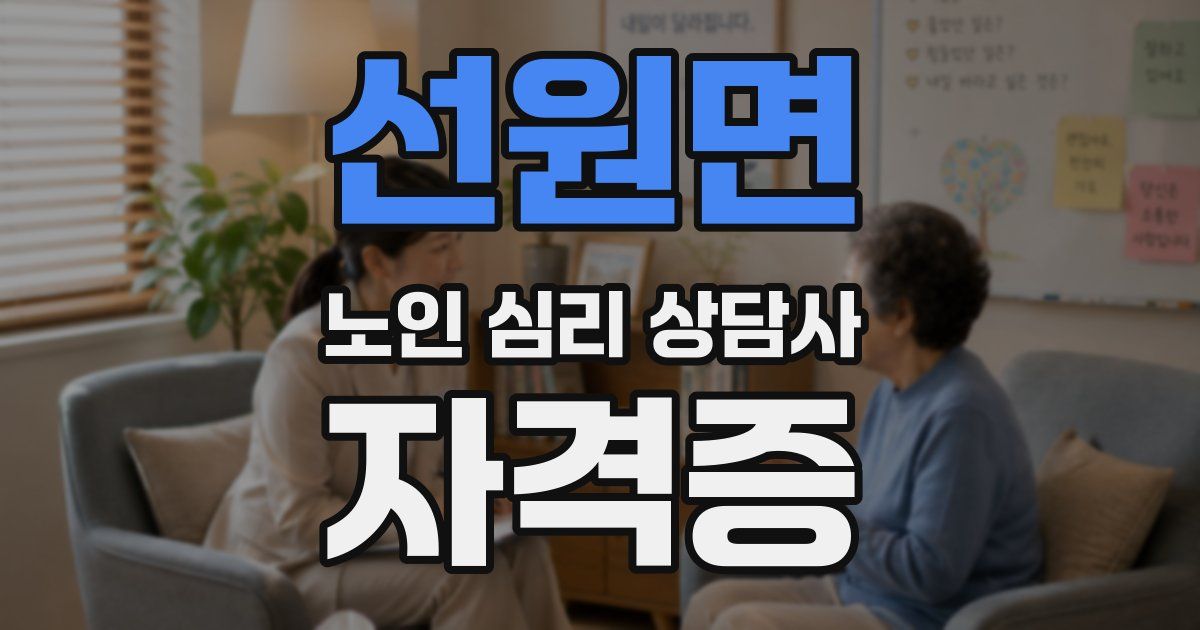 선원면 노인 심리 상담사 자격증