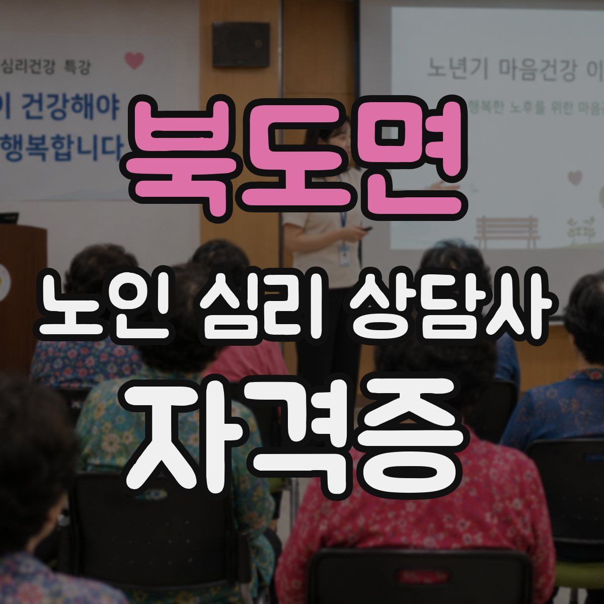 북도면 노인 심리 상담사 자격증