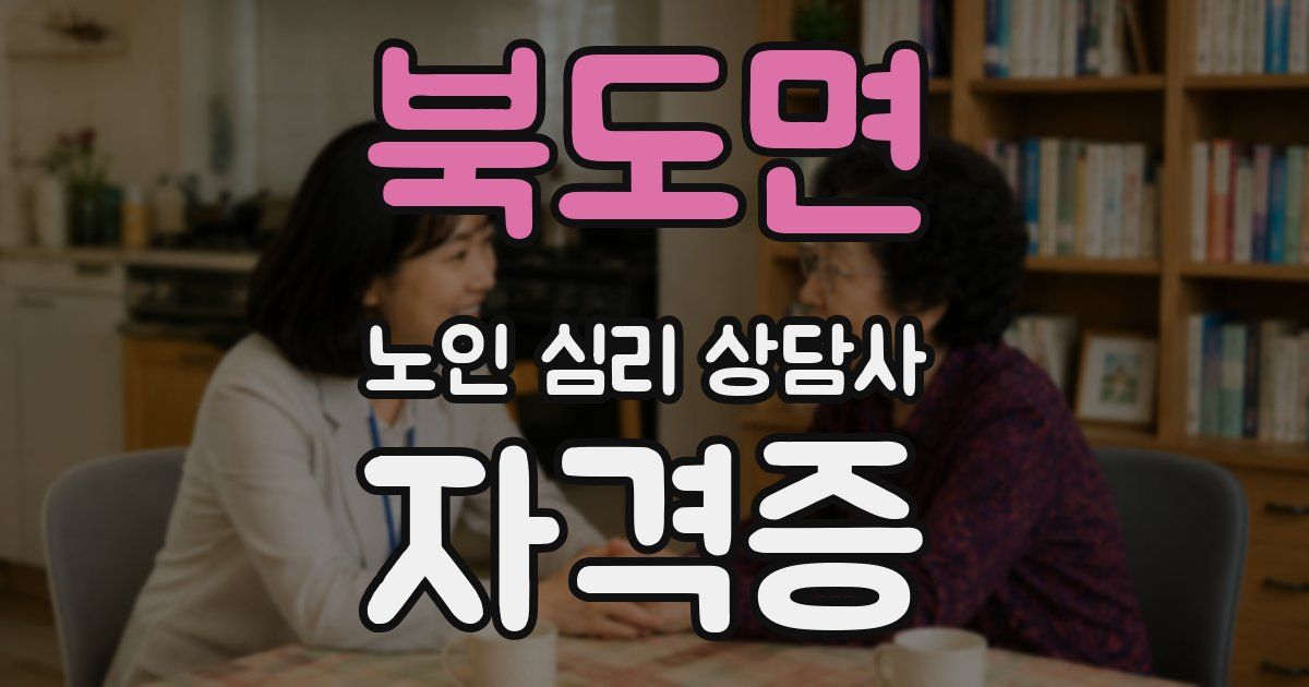 북도면 노인 심리 상담사 자격증