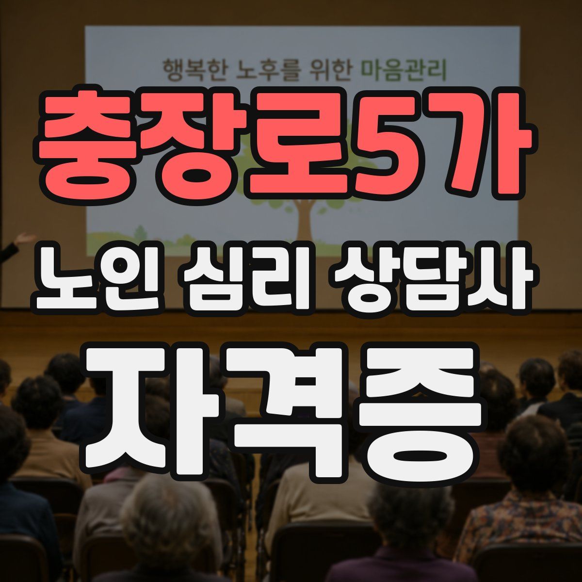 충장로5가 노인 심리 상담사 자격증