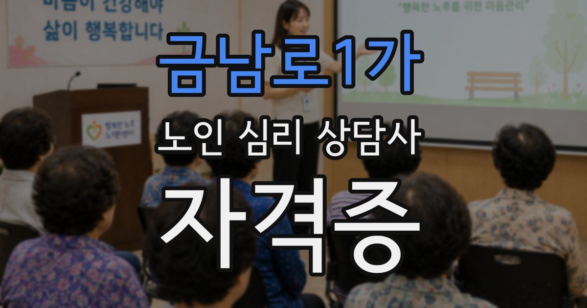 금남로1가 노인 심리 상담사 자격증