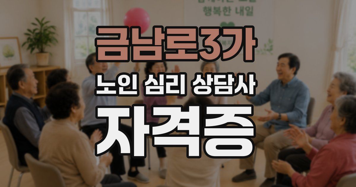 금남로3가 노인 심리 상담사 자격증