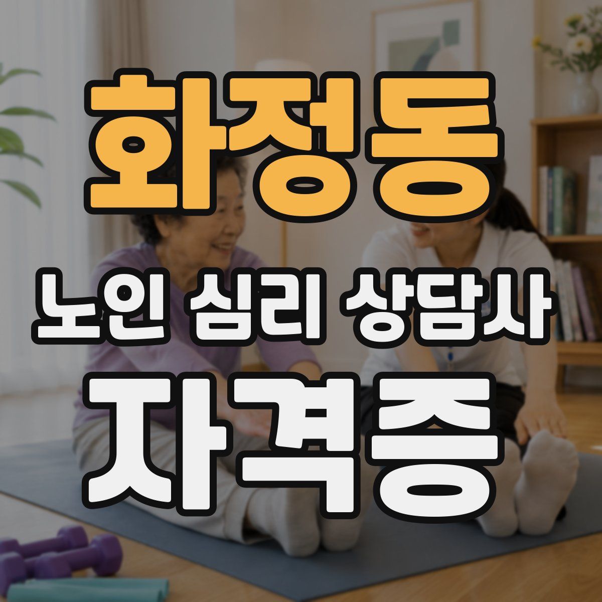 화정동 노인 심리 상담사 자격증