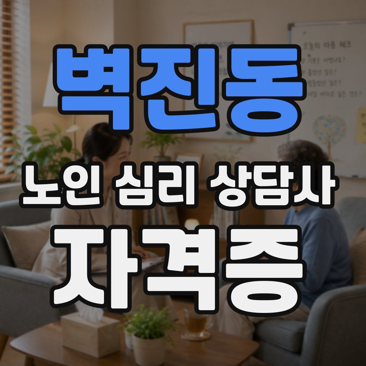 벽진동 노인 심리 상담사 자격증