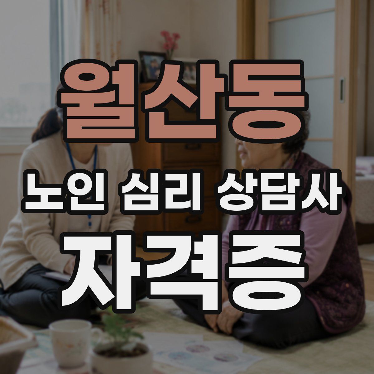 월산동 노인 심리 상담사 자격증