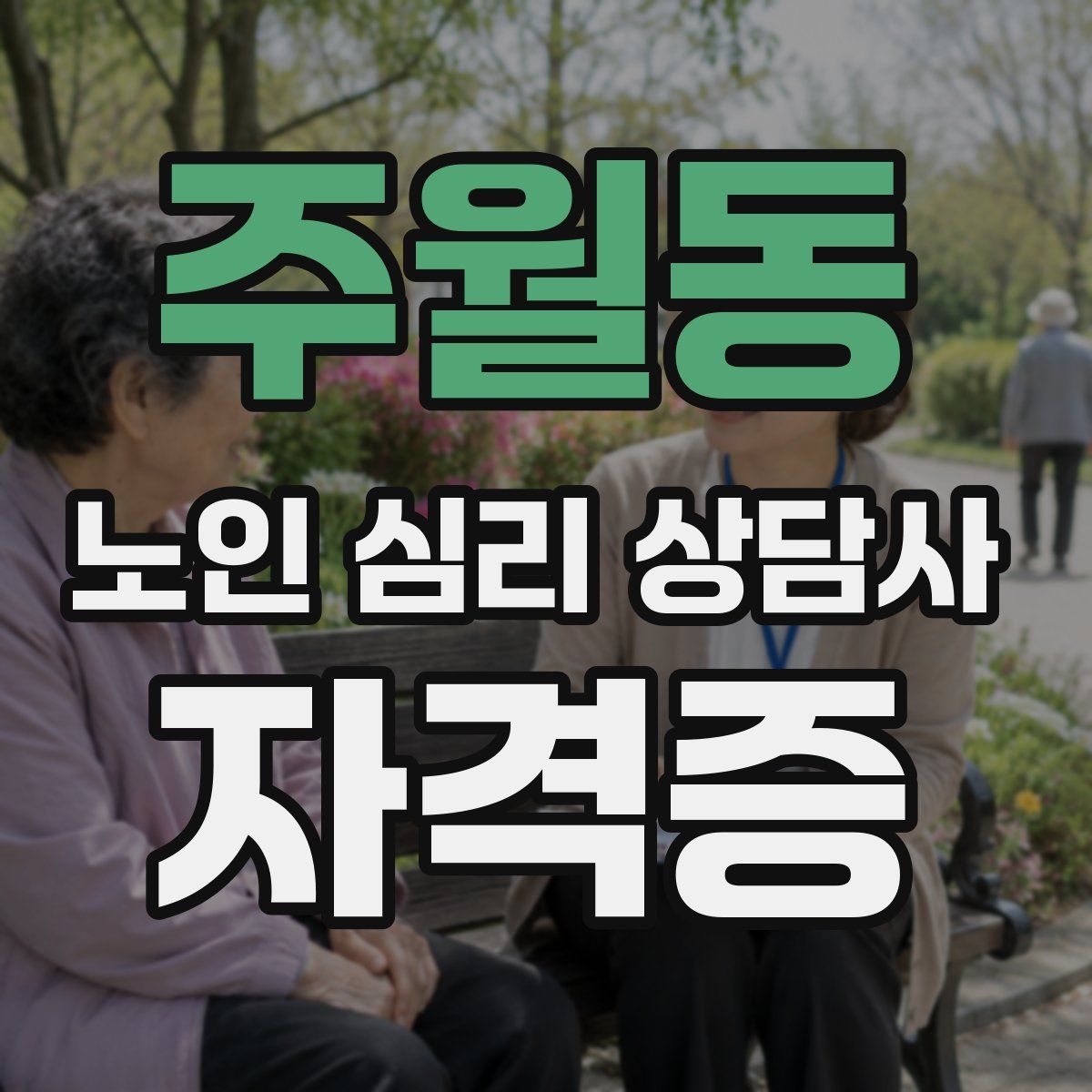 주월동 노인 심리 상담사 자격증