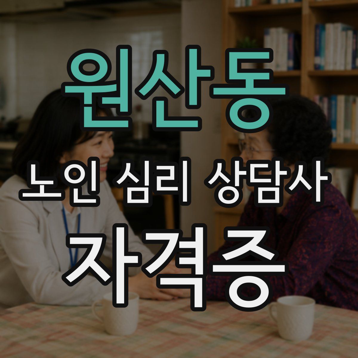 원산동 노인 심리 상담사 자격증