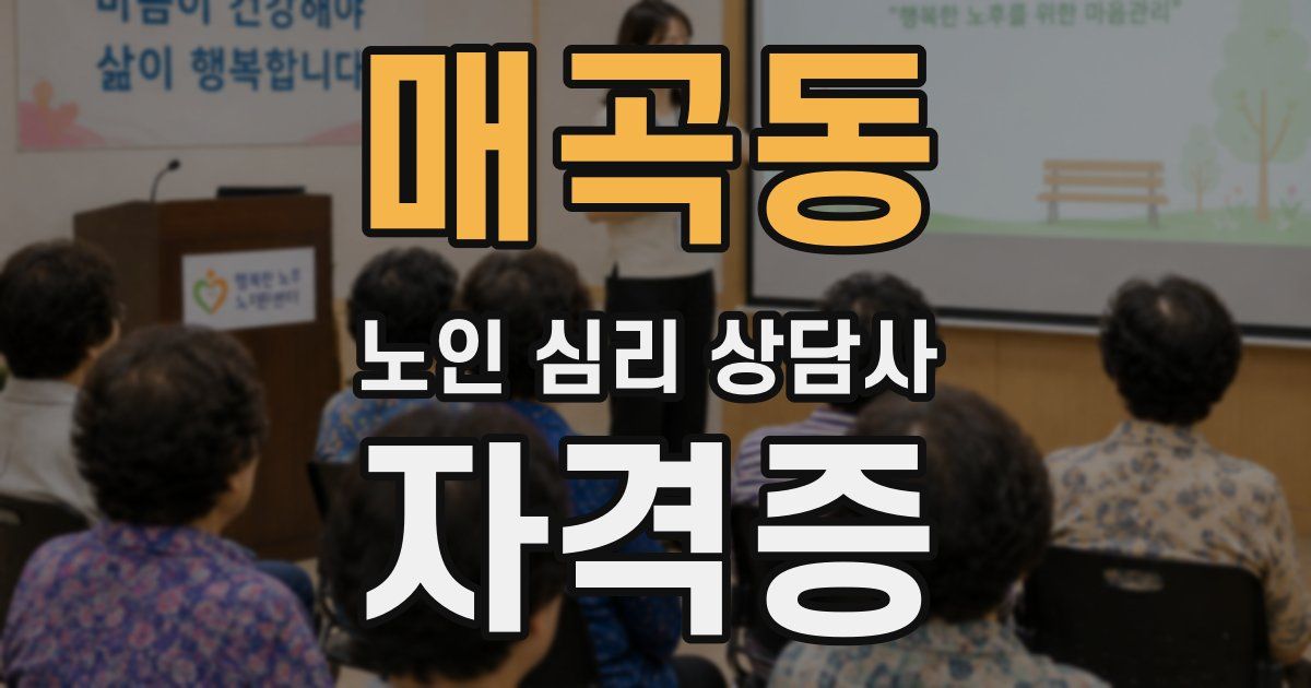 매곡동 노인 심리 상담사 자격증