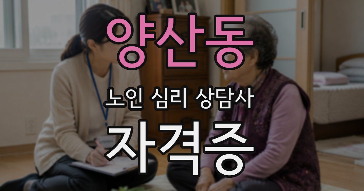 양산동 노인 심리 상담사 자격증