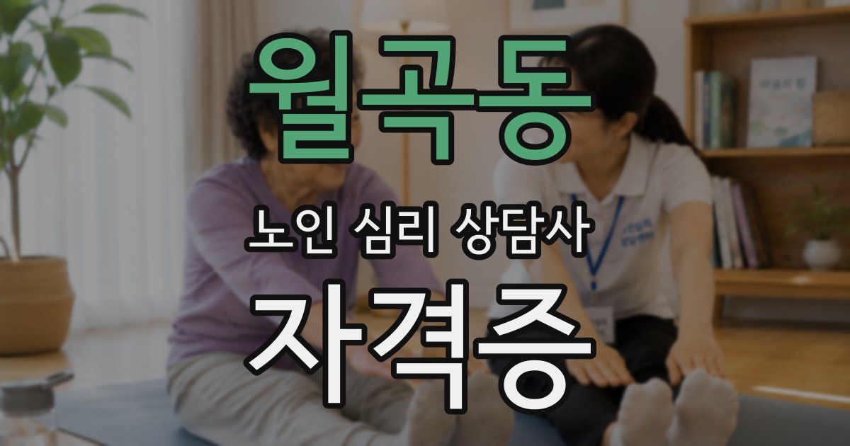 월곡동 노인 심리 상담사 자격증