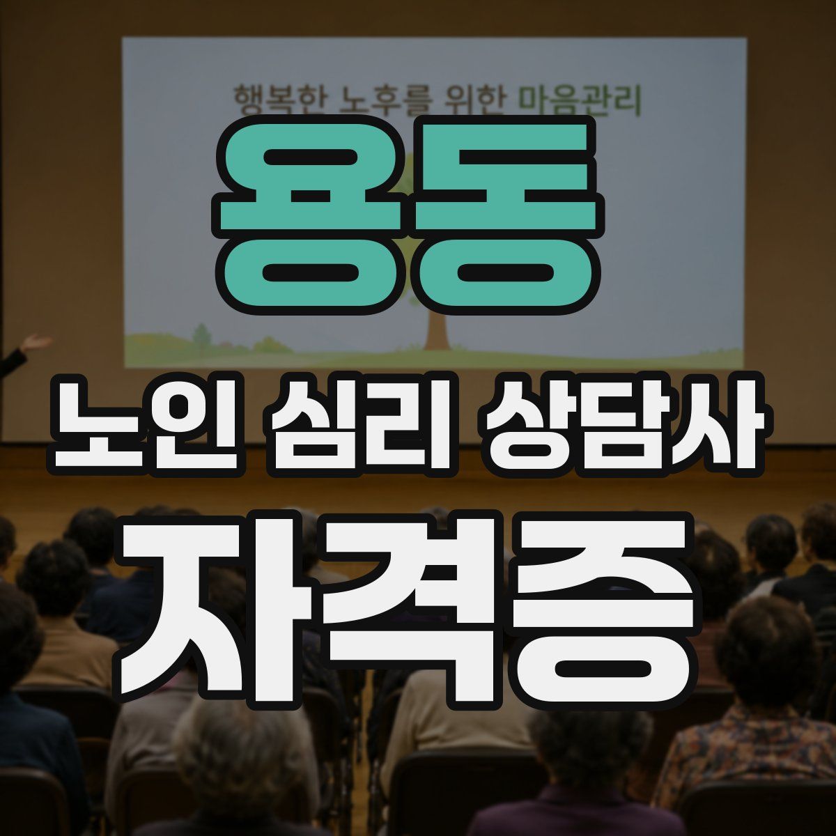 용동 노인 심리 상담사 자격증