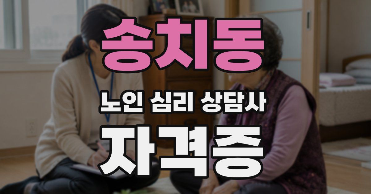 송치동 노인 심리 상담사 자격증
