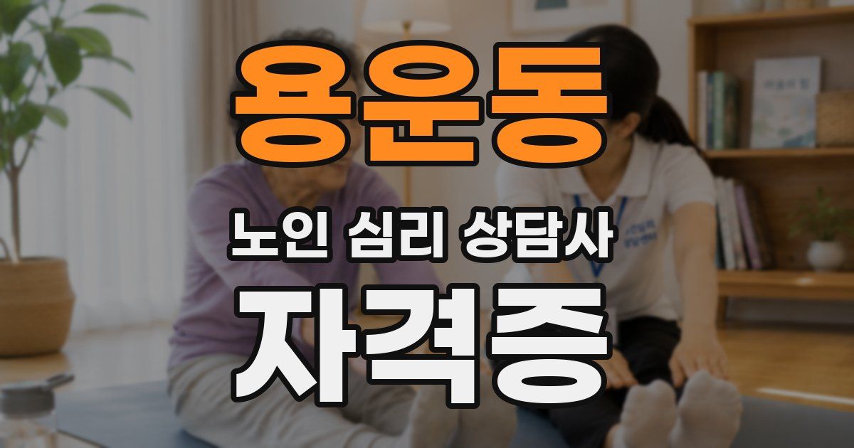 용운동 노인 심리 상담사 자격증