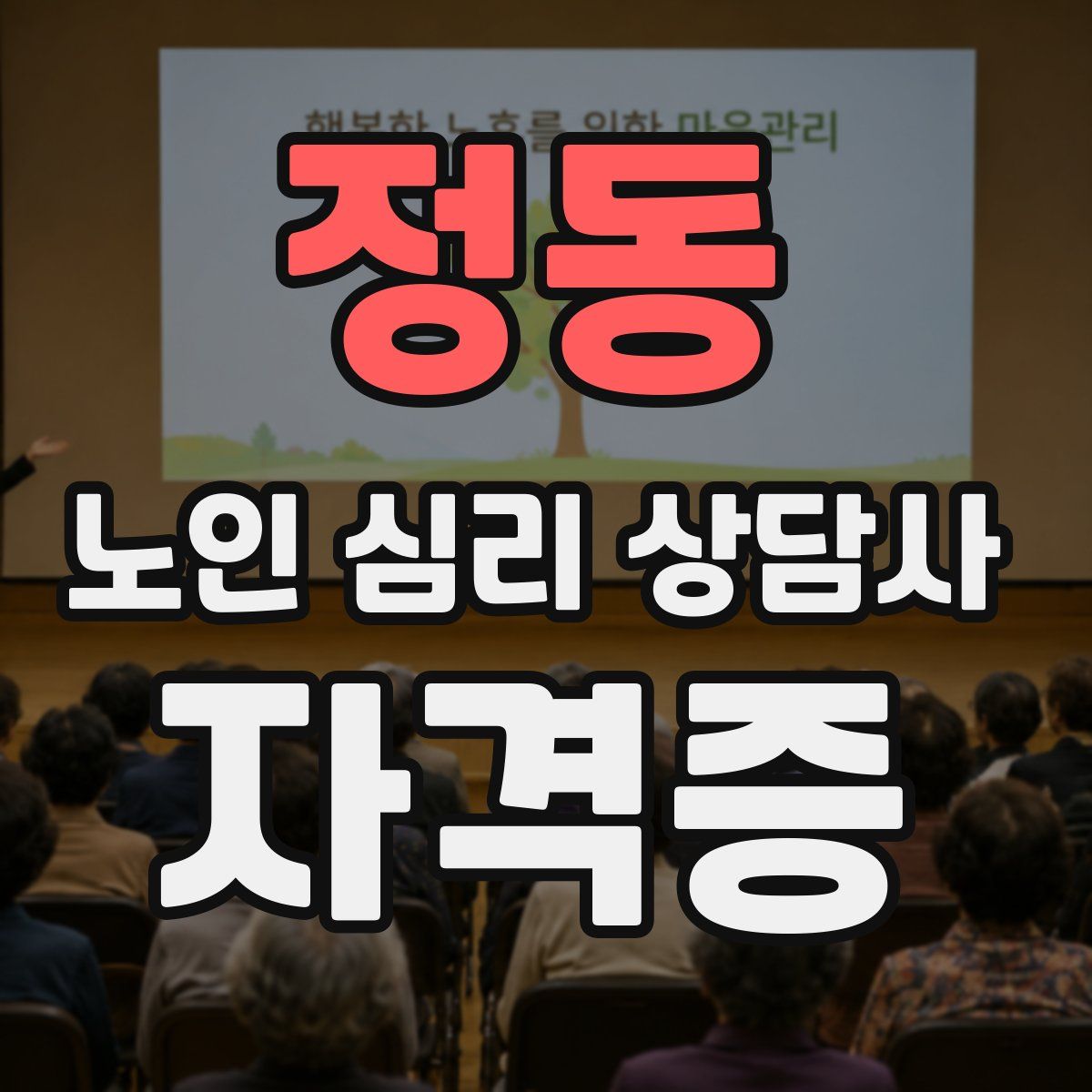 정동 노인 심리 상담사 자격증