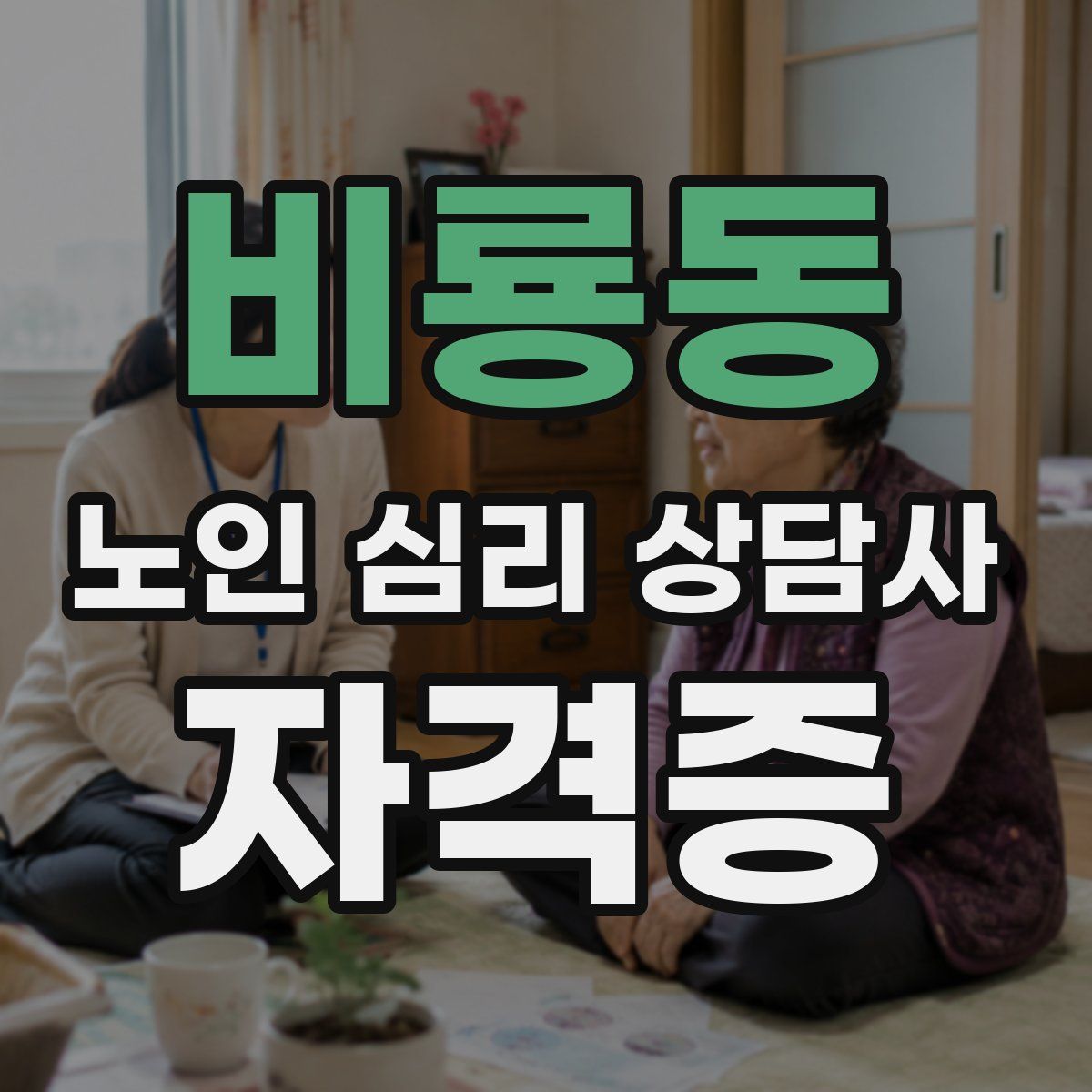 비룡동 노인 심리 상담사 자격증