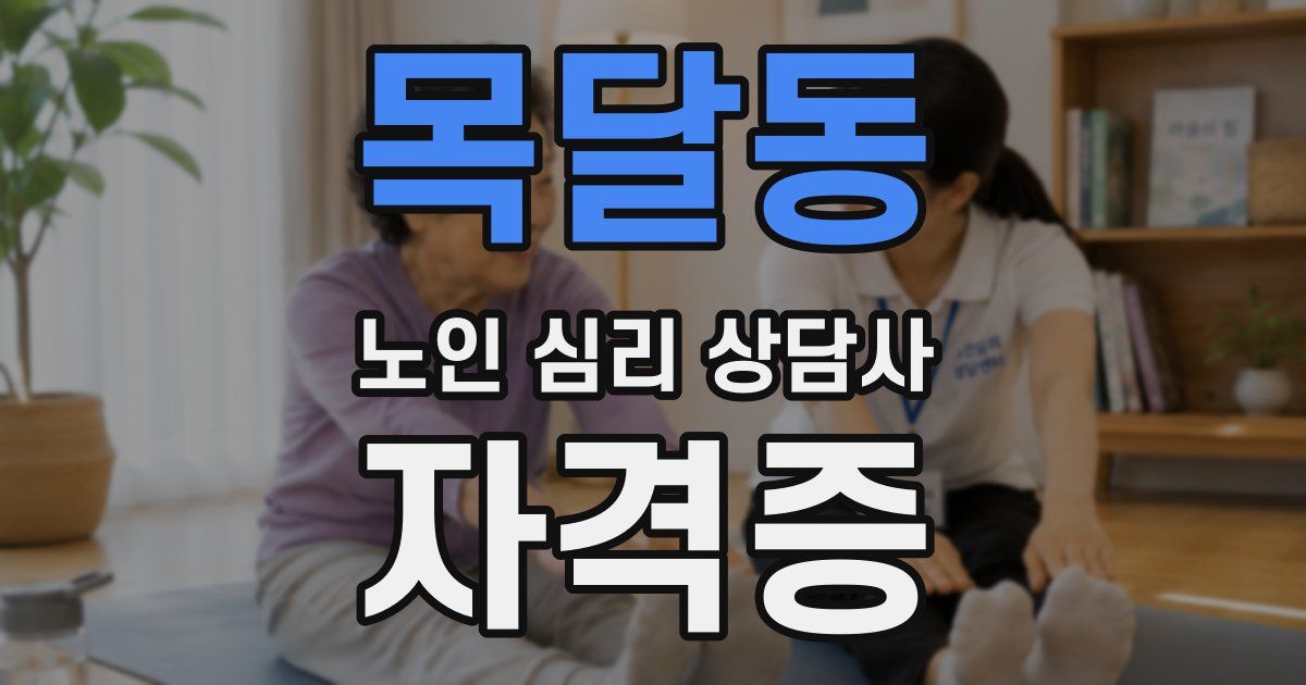 목달동 노인 심리 상담사 자격증