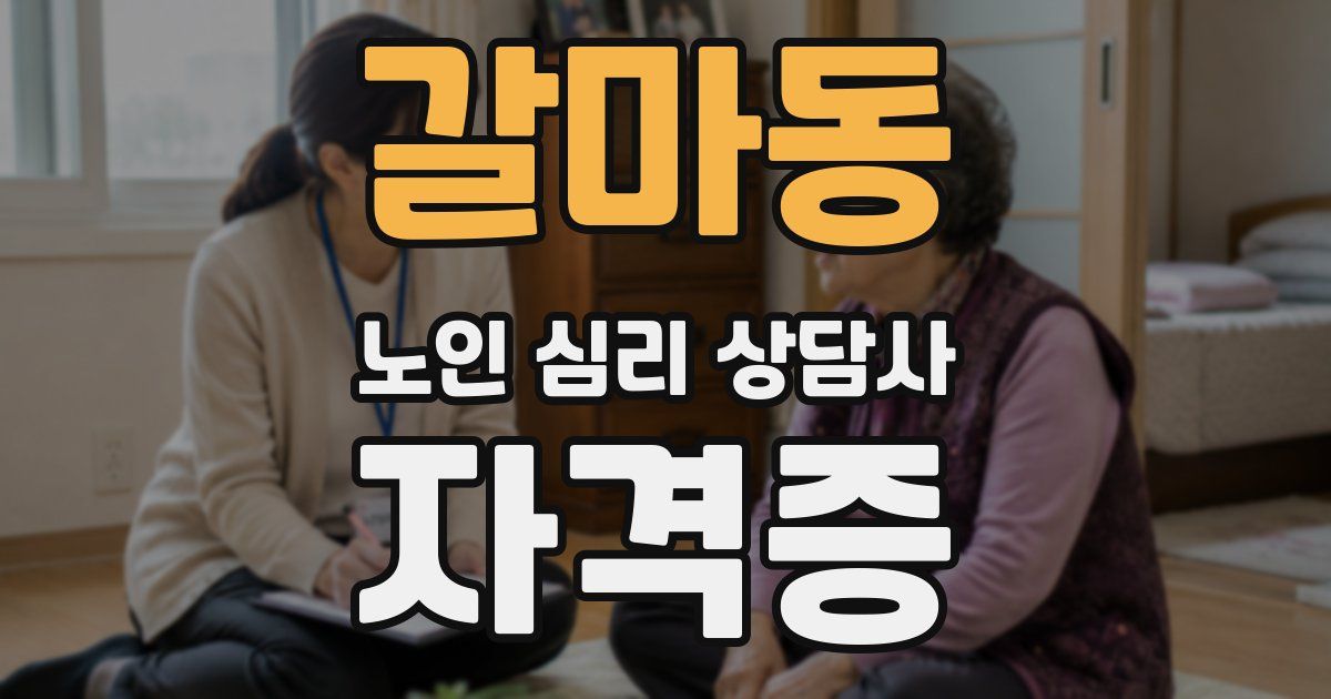 갈마동 노인 심리 상담사 자격증