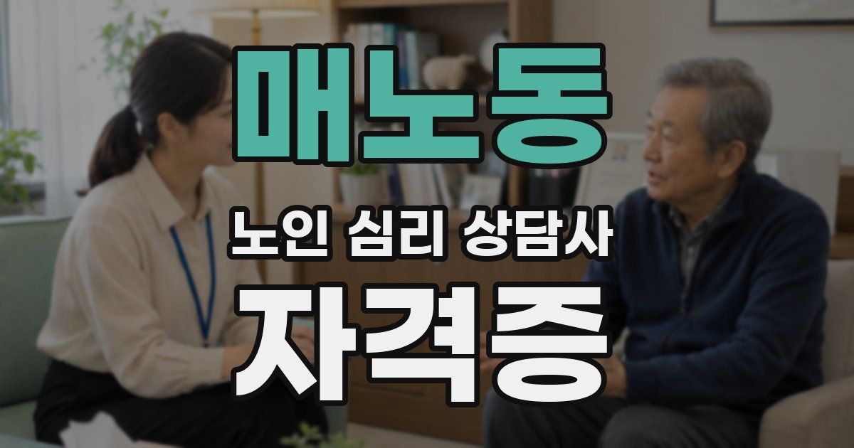 매노동 노인 심리 상담사 자격증