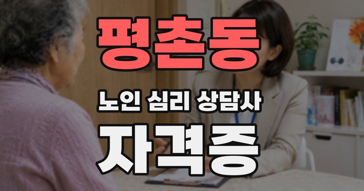 평촌동 노인 심리 상담사 자격증