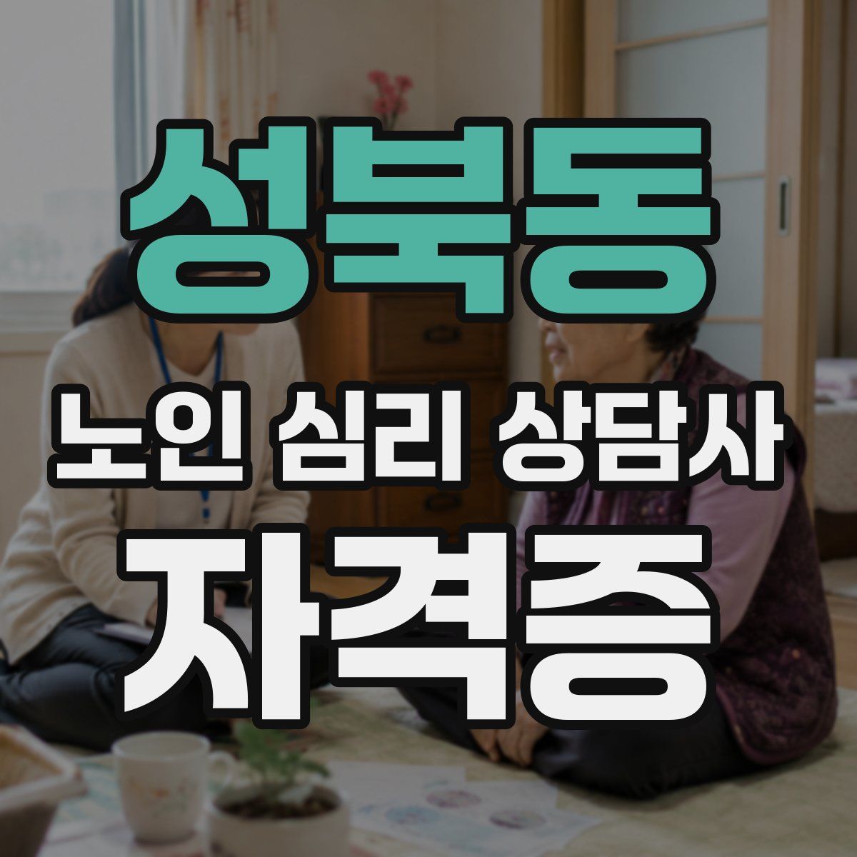 성북동 노인 심리 상담사 자격증