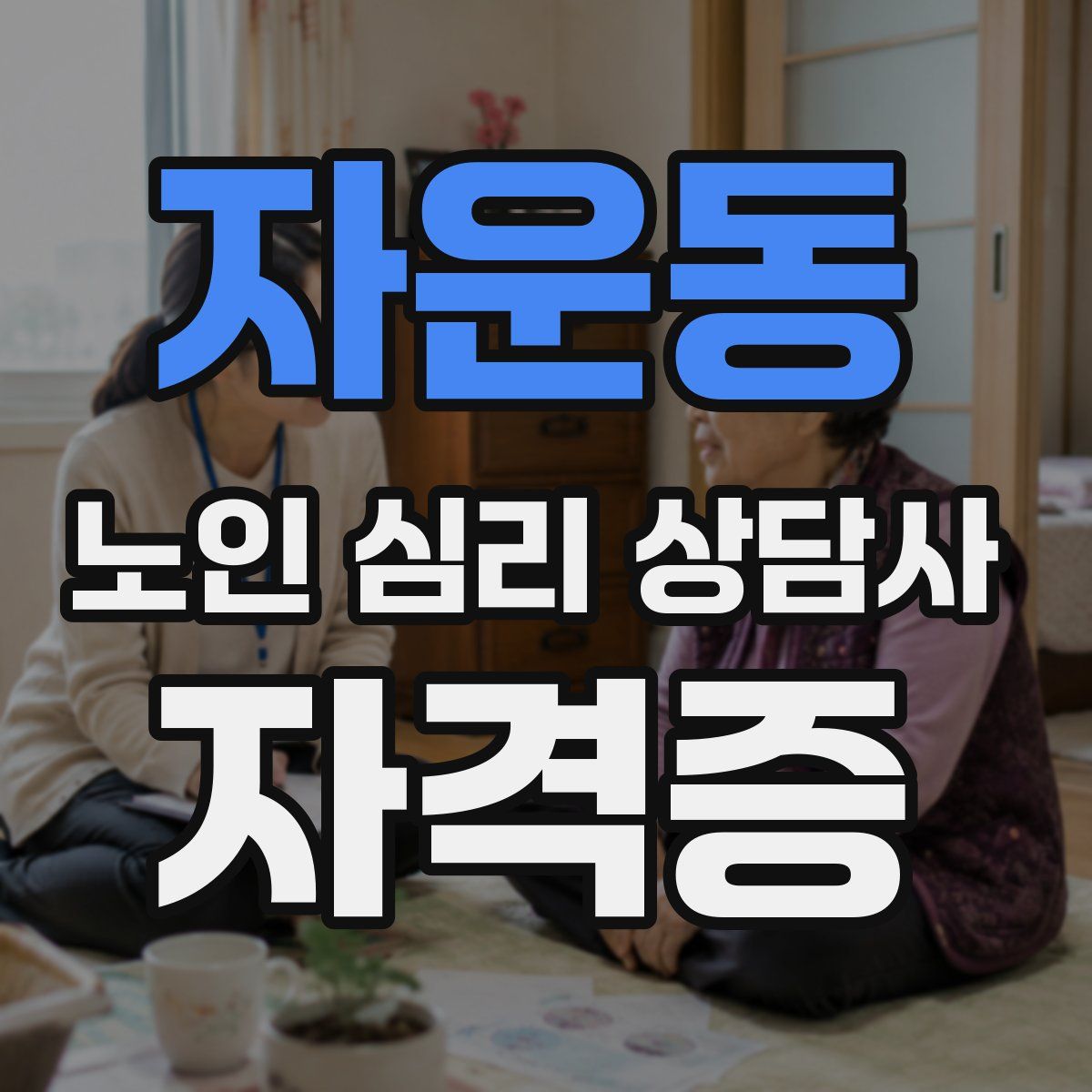 자운동 노인 심리 상담사 자격증