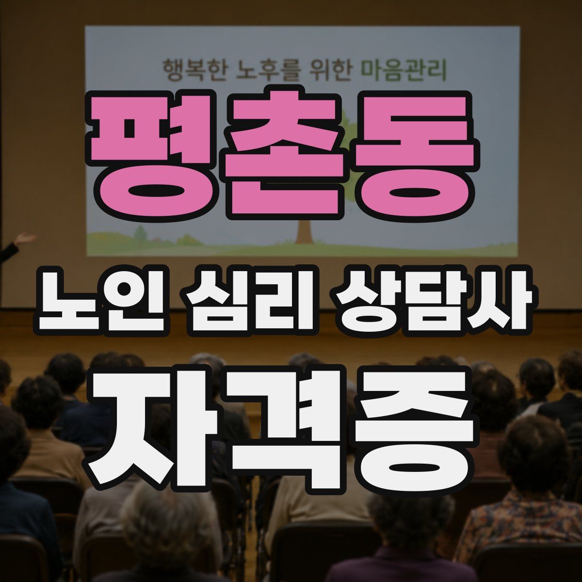 평촌동 노인 심리 상담사 자격증