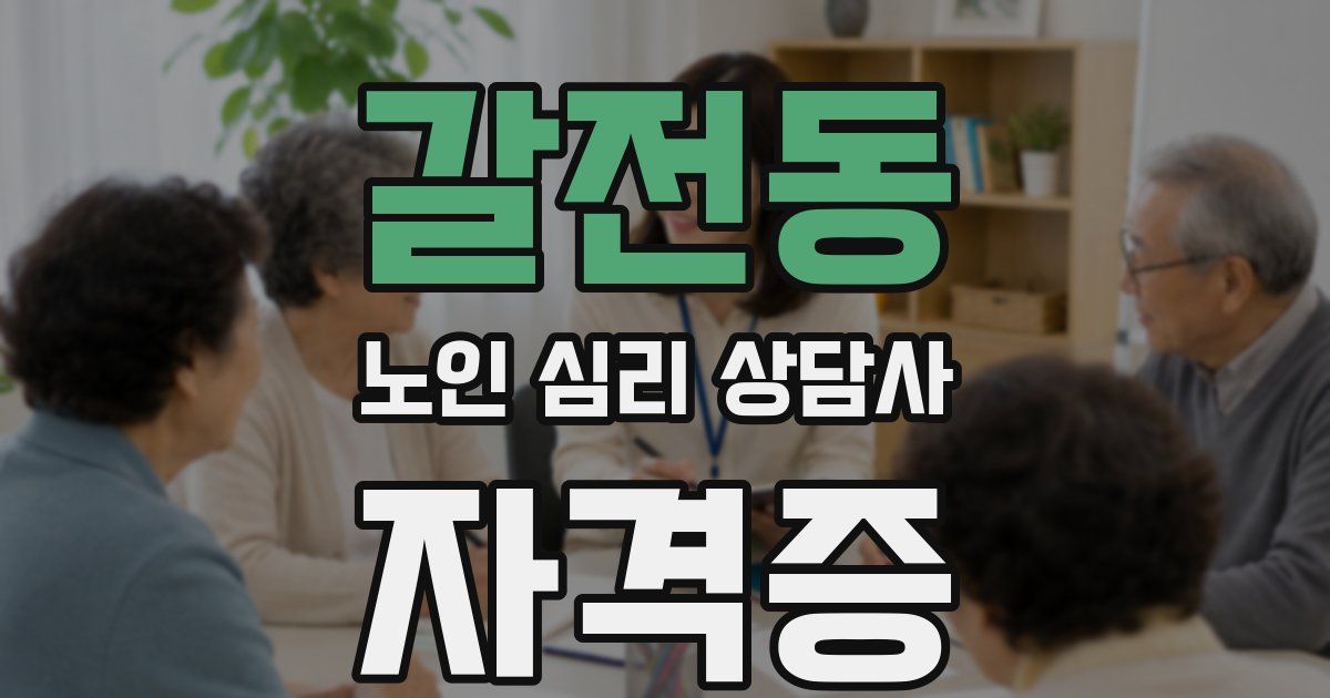 갈전동 노인 심리 상담사 자격증