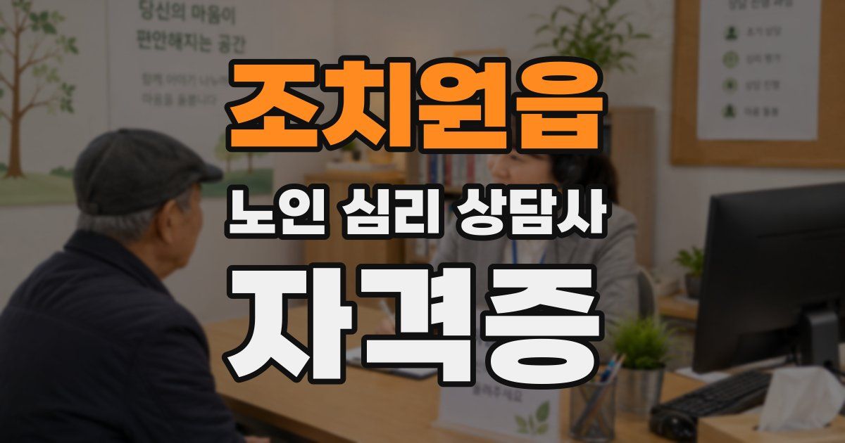 조치원읍 노인 심리 상담사 자격증