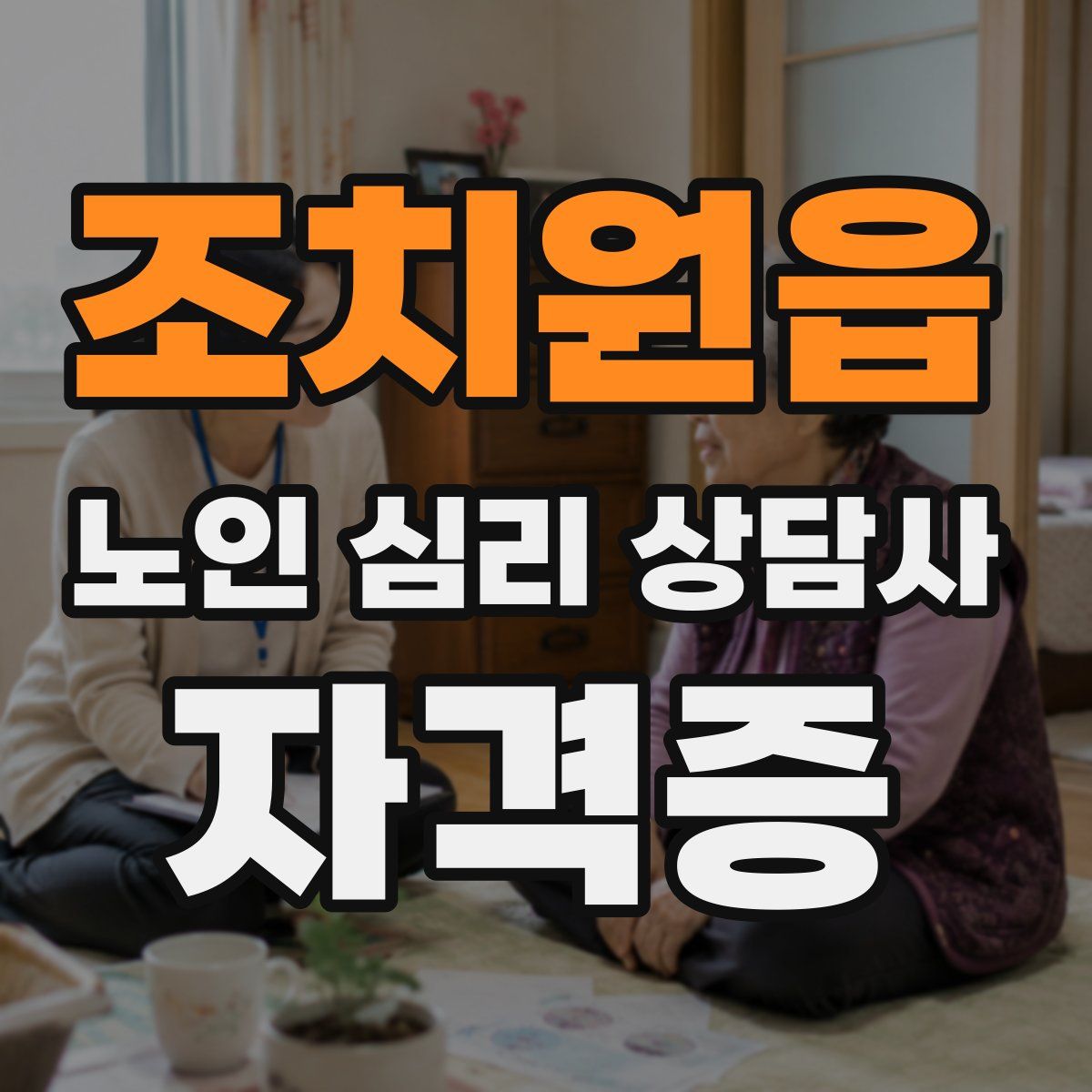 조치원읍 노인 심리 상담사 자격증